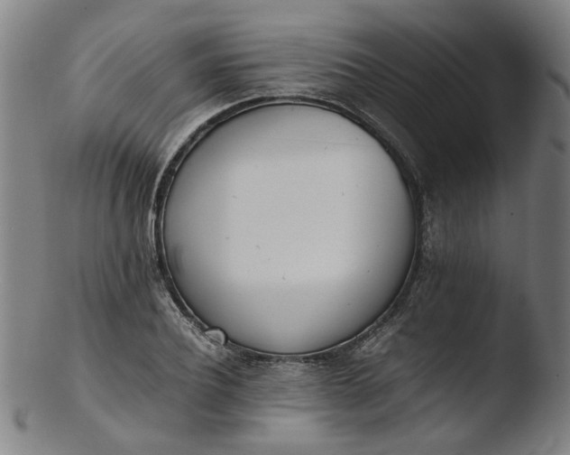 X0000103430932200809261727