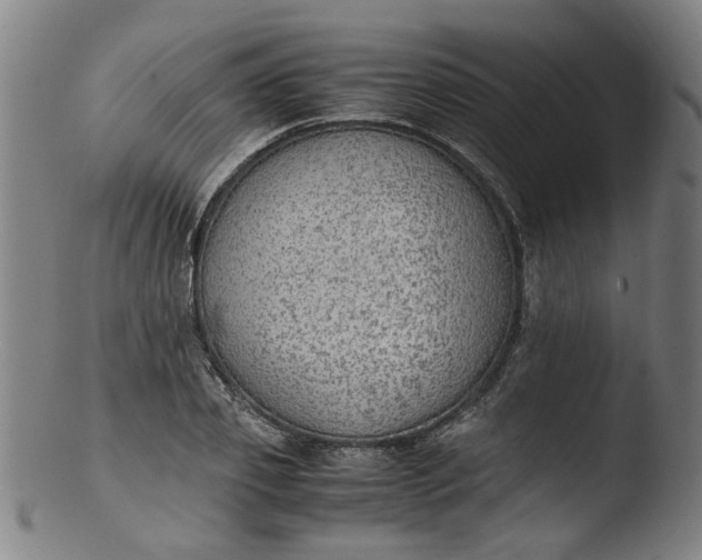 X0000103430933200809261727