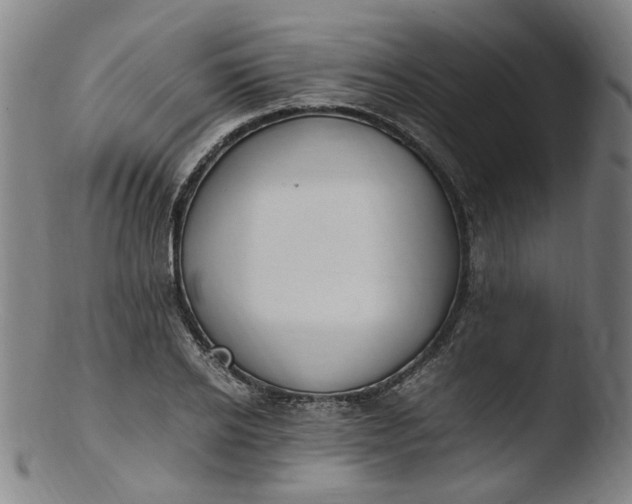 X0000103430934200809261727