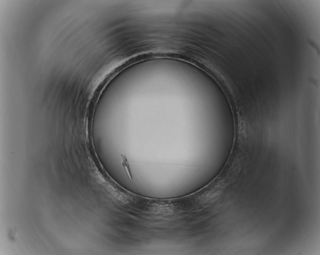 X0000103430935200809261727