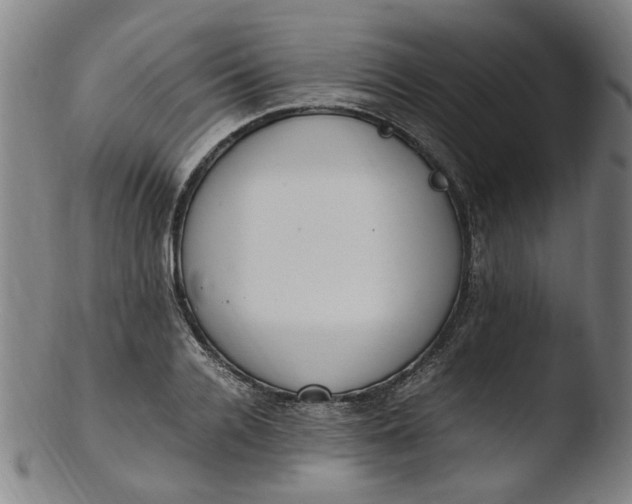 X0000103430936200809261727