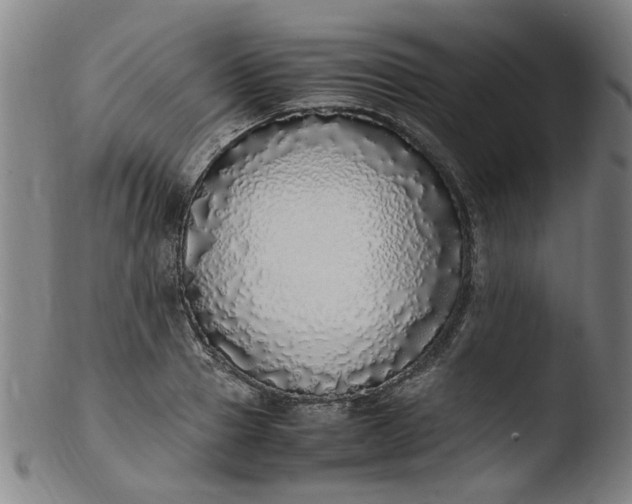 X0000103430937200809261727