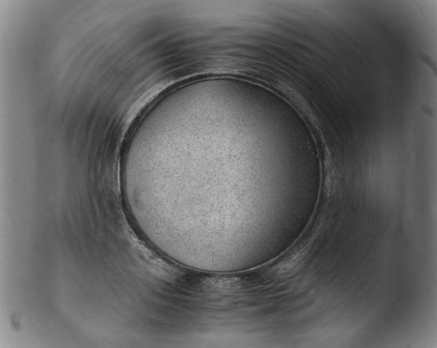 X0000103430939200809261727