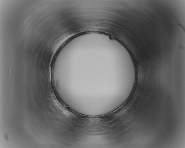 X0000103430940200809261727