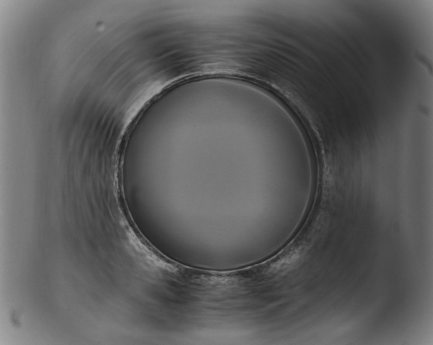 X0000103430941200809261727