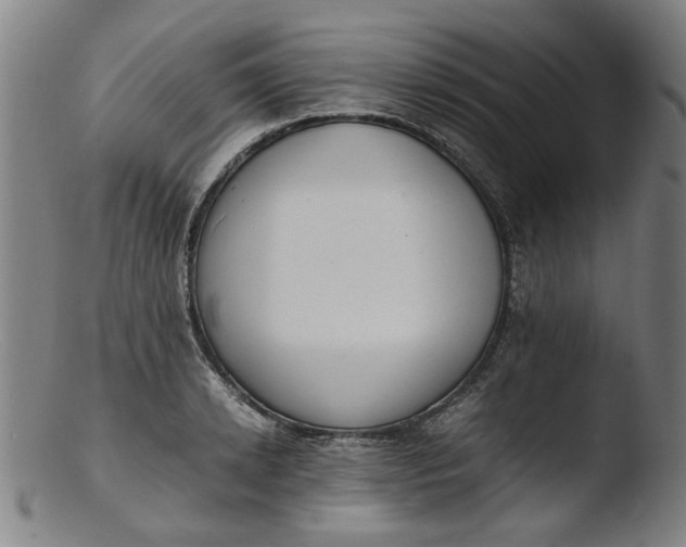 X0000103430942200809261727