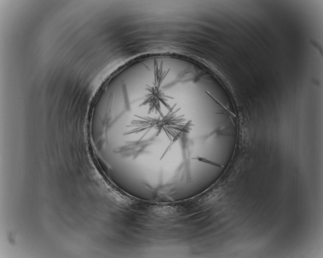 X0000103430943200809261727