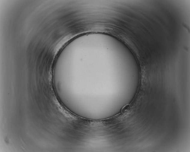 X0000103430944200809261727