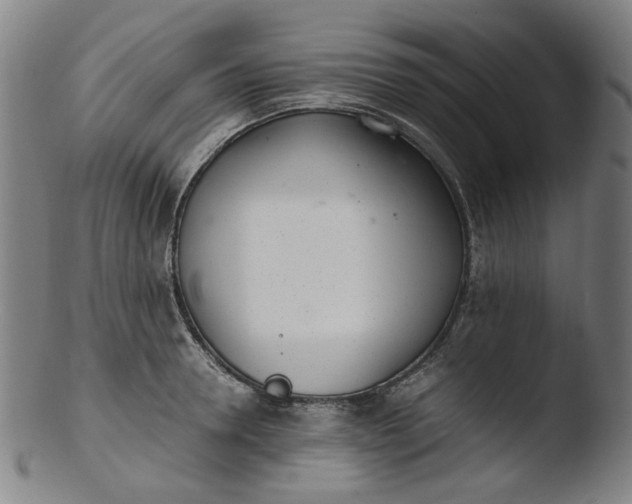 X0000103430946200809261727