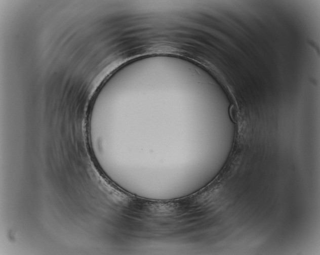 X0000103430947200809261727