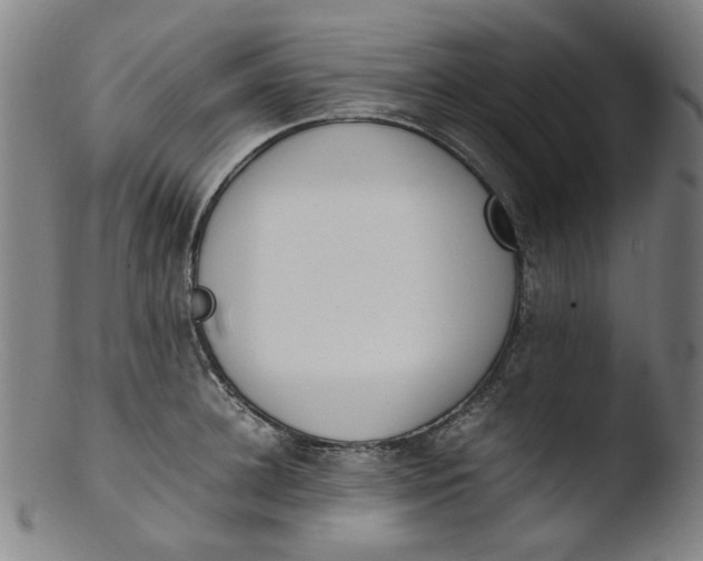 X0000103430948200809261727