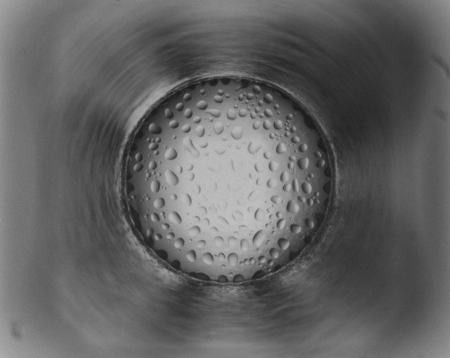 X0000103430949200809261727