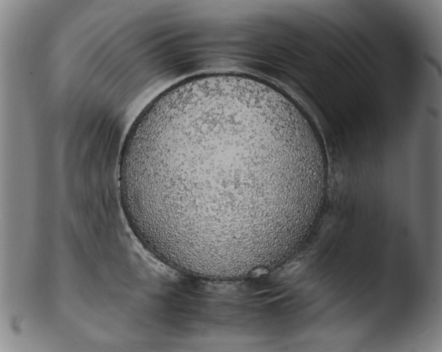 X0000103430951200809261727