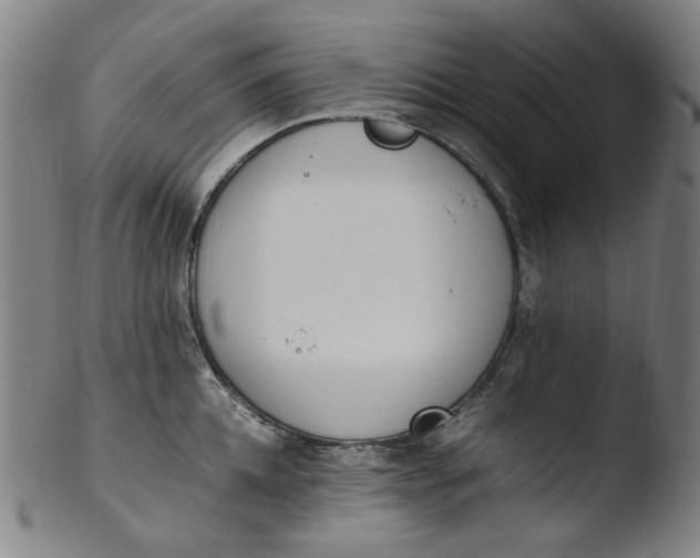 X0000103430952200809261727