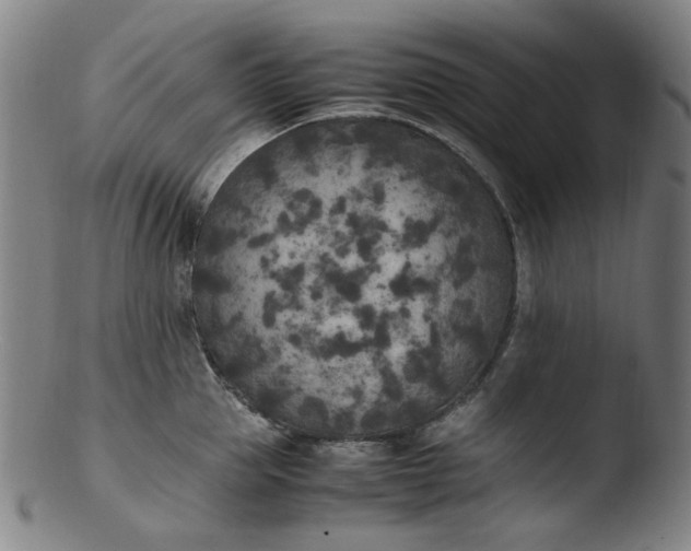 X0000103430953200809261727