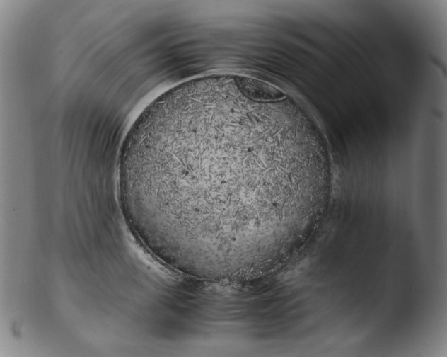 X0000103430955200809261727