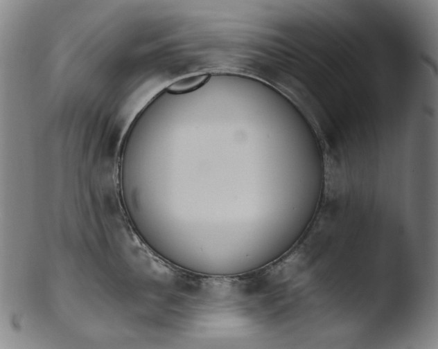 X0000103430956200809261727