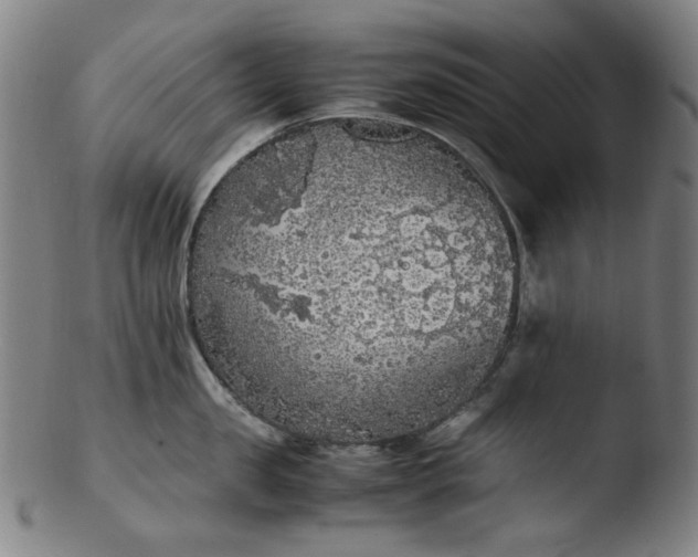 X0000103430957200809261727