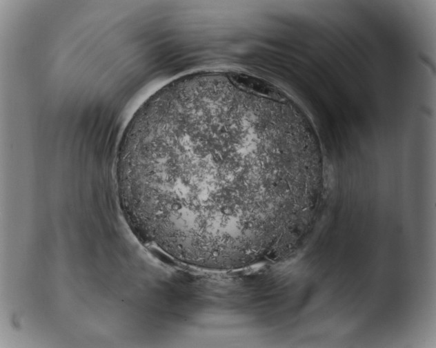 X0000103430959200809261727