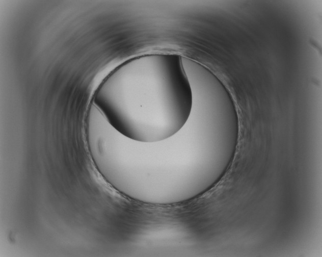 X0000103430960200809261727