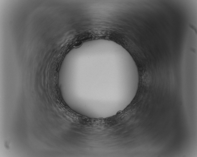 X0000103430961200809261727