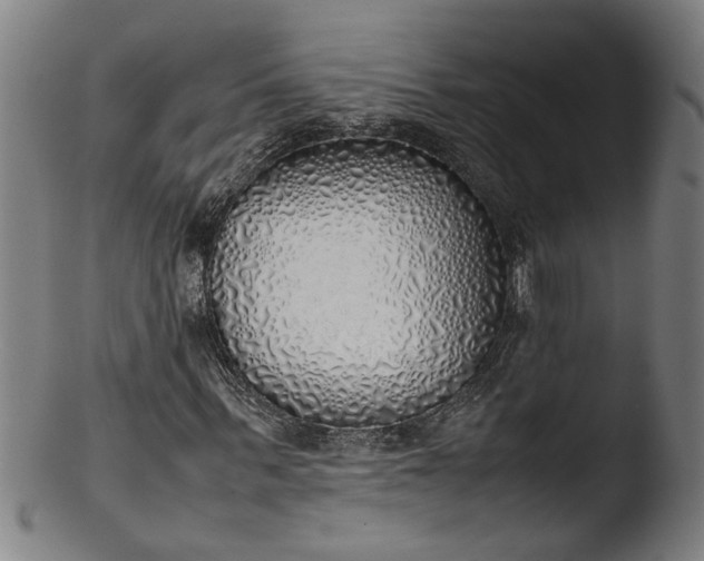 X0000103430963200809261727