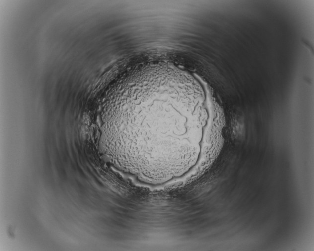 X0000103430964200809261727