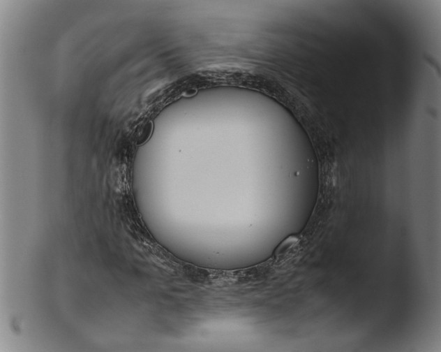 X0000103430965200809261727