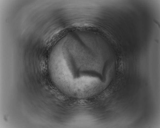 X0000103430966200809261727