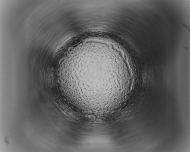 X0000103430968200809261727