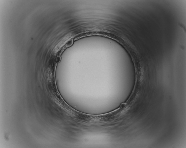 X0000103430969200809261727