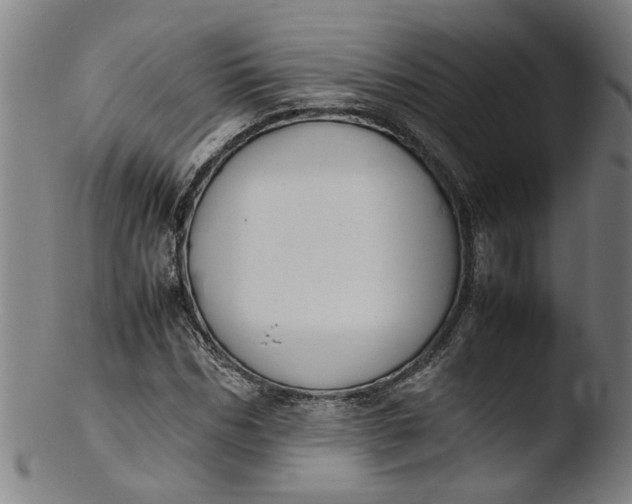 X0000103430970200809261726