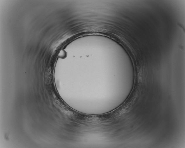 X0000103430971200809261726