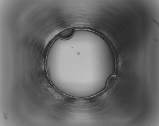 X0000103430973200809261726