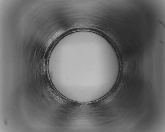 X0000103430974200809261726