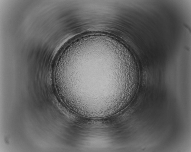 X0000103430976200809261726