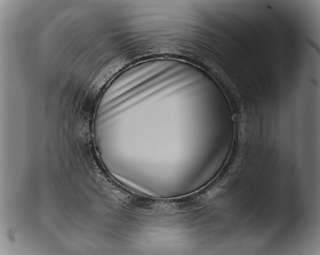 X0000103430977200809261726