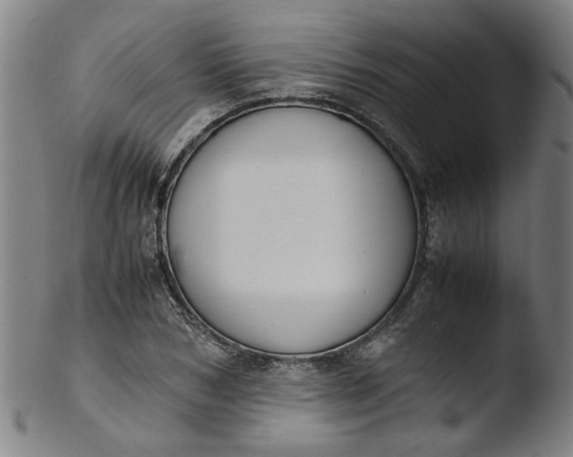 X0000103430978200809261726