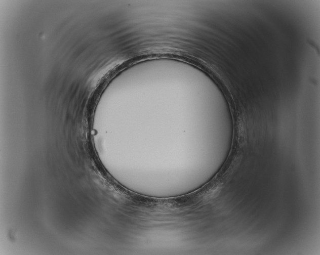 X0000103430979200809261726