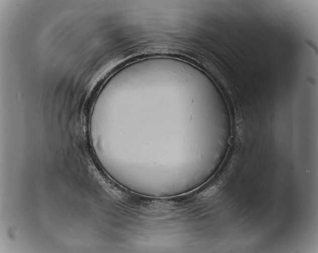 X0000103430981200809261726