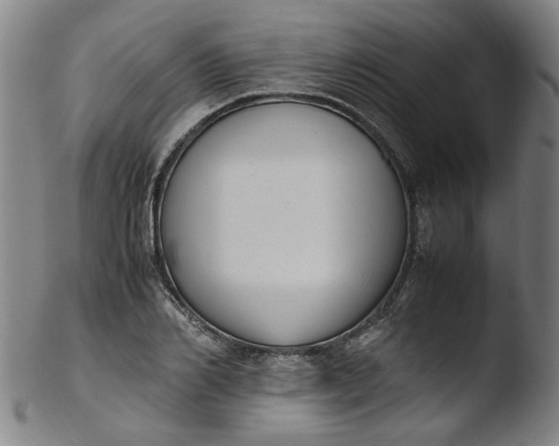 X0000103430982200809261726