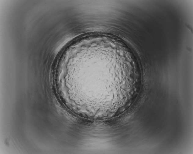 X0000103430983200809261726