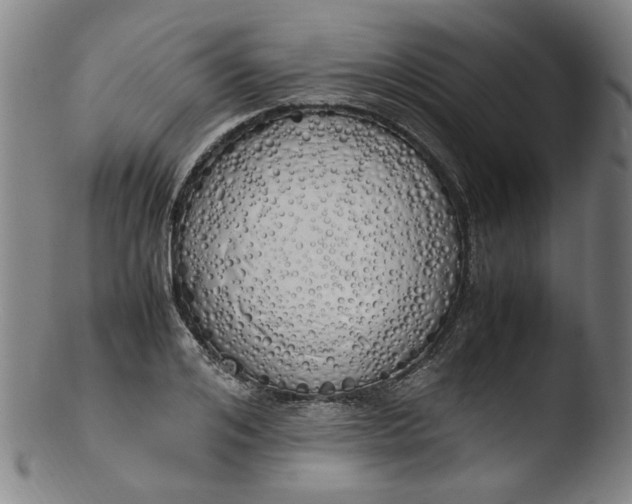 X0000103430984200809261726