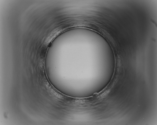 X0000103430985200809261726