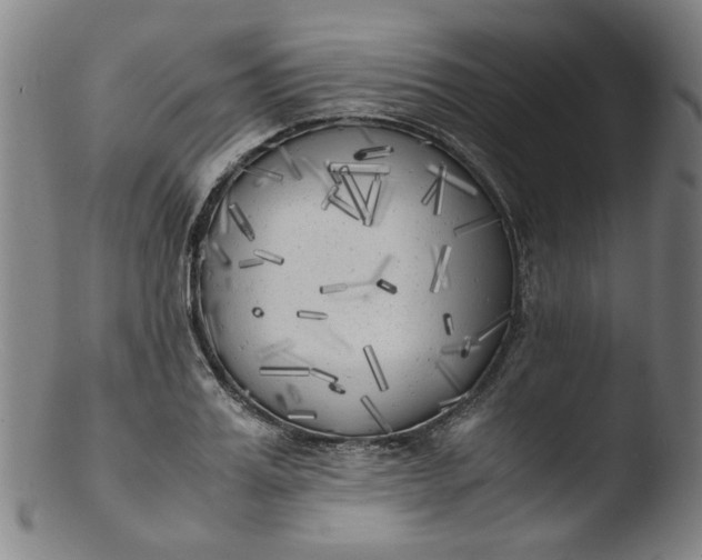 X0000103430987200809261726