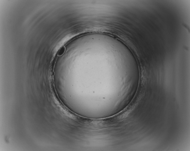 X0000103430989200809261726