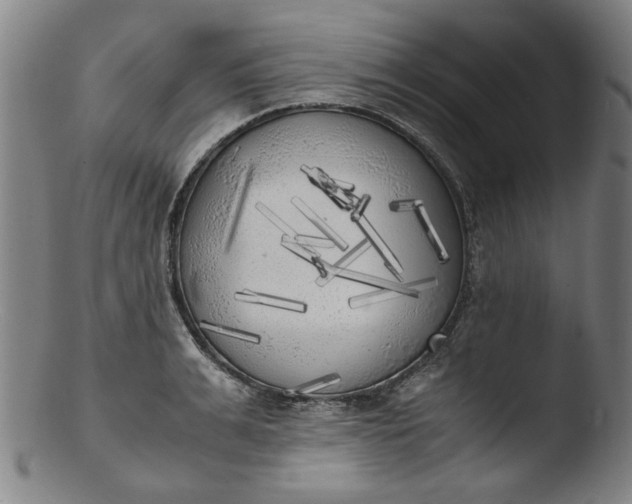 X0000103430991200809261726