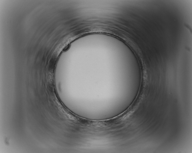 X0000103430993200809261726