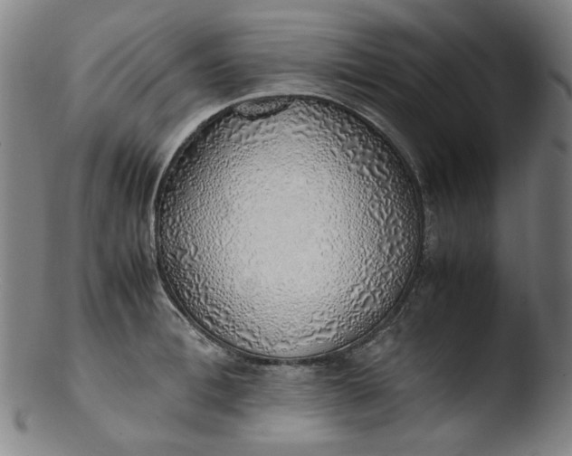 X0000103430996200809261726