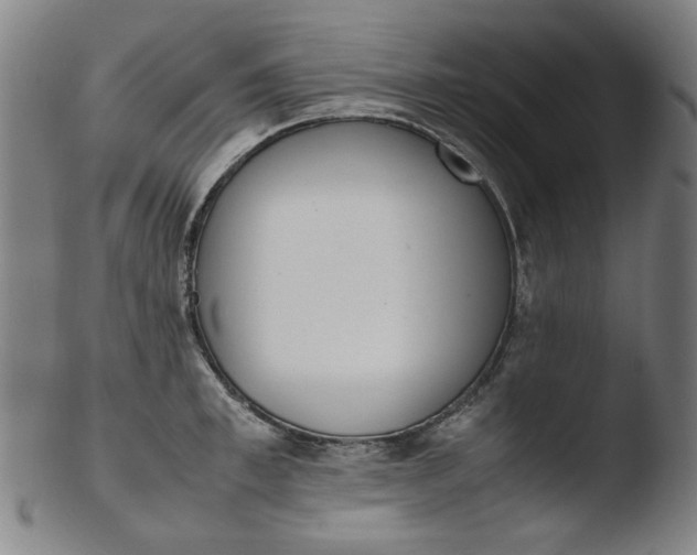 X0000103430997200809261726